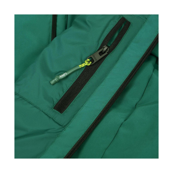 Aston Martin мъжко яке с качулка Puffy Alonso green F1 Team 2025