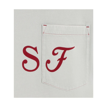 Ferrari мъжка тениска Graphic grey F1 Team 2025