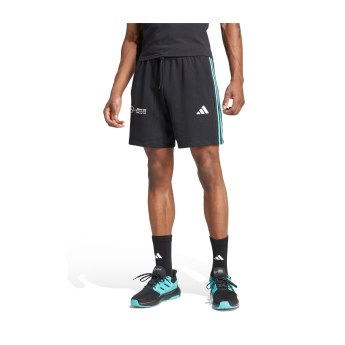 Mercedes AMG Petronas мъжки шорти DNA Logo black F1 Team 2025