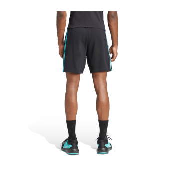 Mercedes AMG Petronas мъжки шорти DNA Logo black F1 Team 2025