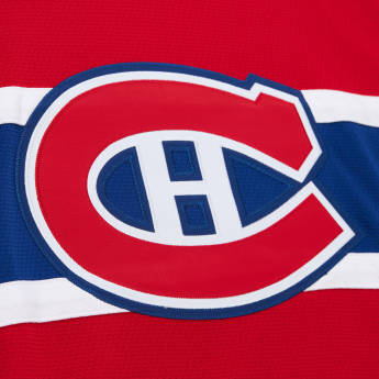 Montreal Canadiens хокейна фланелка Patrick Roy 1972 NHL Dark Jersey