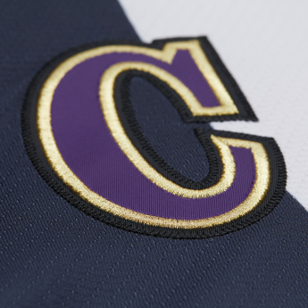 Los Angeles Kings хокейна фланелка Wayne Gretzky 1995 NHL Alternate Jersey