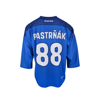 Отбори по хокей хокейна фланелка Czech republic David Pastrňák 2025/2026 CCM Fandres replica blue