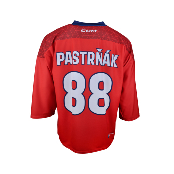 Отбори по хокей хокейна фланелка Czech republic David Pastrňák 2025/2026 CCM Fandres replica red