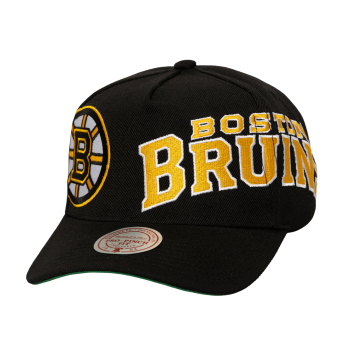 Boston Bruins баскетболна шапка с козирка Busted Pro Snapback black