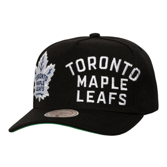 Toronto Maple Leafs баскетболна шапка с козирка Busted Pro Snapback black