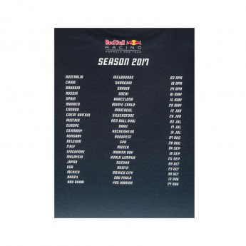 Red Bull Racing мъжка тениска navy Tour F1 Team 2017