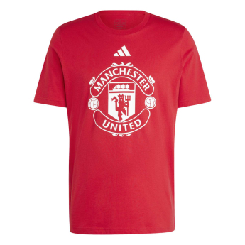 Manchester United мъжка тениска DNA Graphic red
