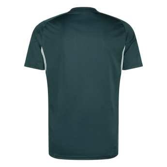 Arsenal FC мъжка тренировъчна фланелка aurora