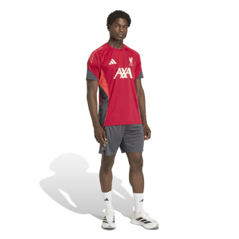 Liverpool FC мъжка тренировъчна фланелка Tiro red