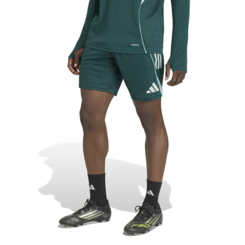 Arsenal FC мъжки тренировъчни шорти aurora