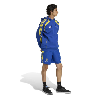 Juventus FC мъжки суитшърт с качулка Vialli Pack