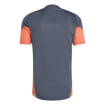 FC Bayern Munich мъжка тренировъчна фланелка boonix