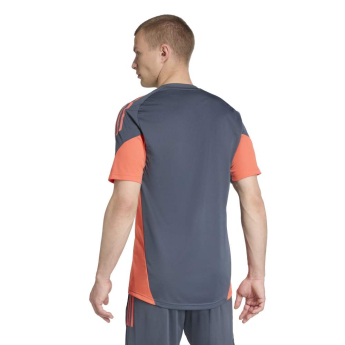 FC Bayern Munich мъжка тренировъчна фланелка boonix