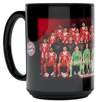 FC Bayern Munich халба Team 25/26