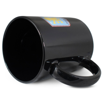 Aston Villa халба Lion