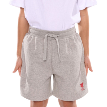 Liverpool FC детски къси панталони Sweat grey
