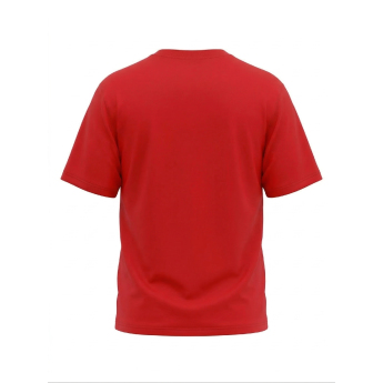 Detroit Red Wings мъжка тениска Tek Patch red