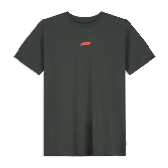 Formula 1 мъжка тениска RDW Graphic black 2026