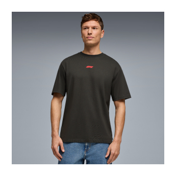 Formula 1 мъжка тениска RDW Graphic black 2026