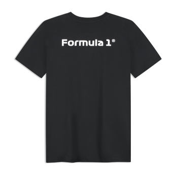 Formula 1 мъжка тениска Track Limits black 2026