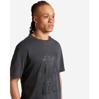 Liverpool FC мъжка тениска Liverbird charcoal