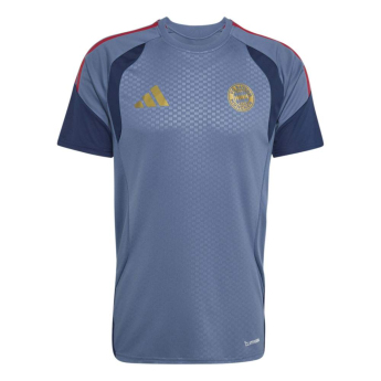 FC Bayern Munich мъжка тренировъчна фланелка preloved