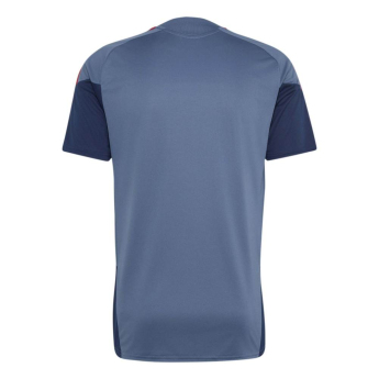 FC Bayern Munich мъжка тренировъчна фланелка preloved