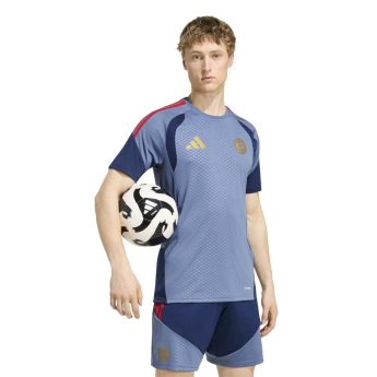 FC Bayern Munich мъжка тренировъчна фланелка preloved