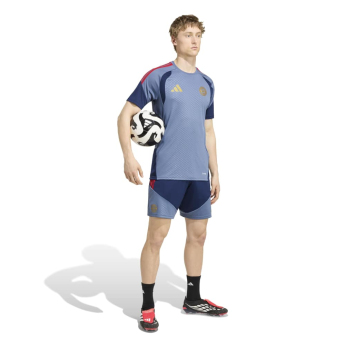 FC Bayern Munich мъжка тренировъчна фланелка preloved