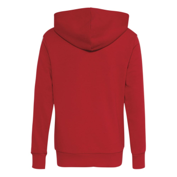 FC Bayern Munich детски суитшърт Hoodie