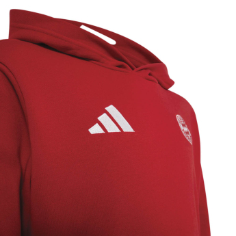 FC Bayern Munich детски суитшърт Hoodie