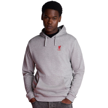 Liverpool FC мъжки суитшърт с качулка Overhead grey