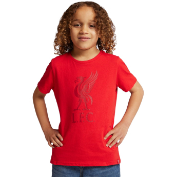 Liverpool FC детска тениска liverbird red