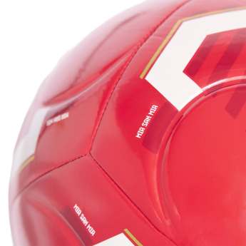 FC Bayern Munich топка Club Home