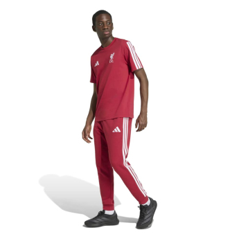 Liverpool FC мъжка тениска DNA Tee active