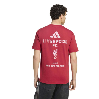 Liverpool FC мъжка тениска Seasonal red