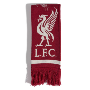 Liverpool FC зимен шал Scarf active