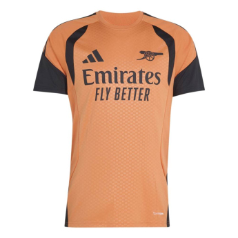 Arsenal FC мъжка тренировъчна фланелка Tiro duor