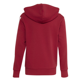 Liverpool FC детски суитшърт с качулка Hoody active
