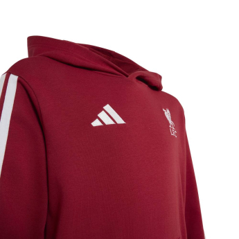 Liverpool FC детски суитшърт с качулка Hoody active