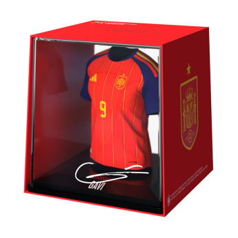 Футболни отбори Кутия MyJersey Spain Box MyJersey