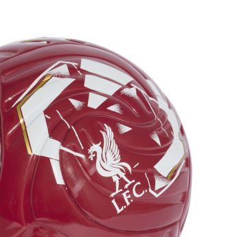 Liverpool FC топка Club Home