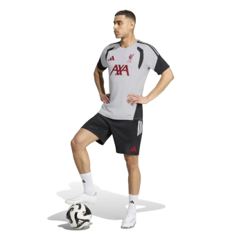 Liverpool FC футболна фланелка Tiro grey