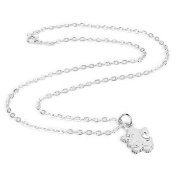 Aston Villa колие с висулка Silver Plated Boxed Pendant LN