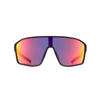 Red Bull Racing слънчеви очила DAFT, black with blue and red glass