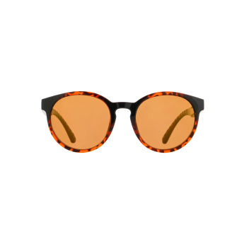Red Bull Racing слънчеви очила EVER brown-black with brown lenses
