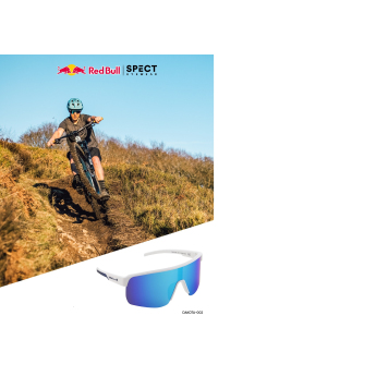 Red Bull Racing слънчеви очила DAKOTA black with purple green glass
