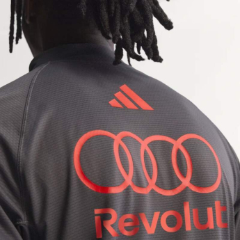 Audi F1 мъжки суитшърт 1/4 Zip mechanic grey F1 Team 2026