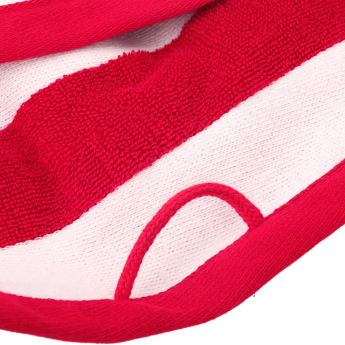 FC Bayern Munich кърпа red